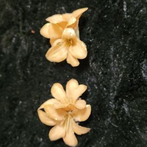 Pair of flower hair clips